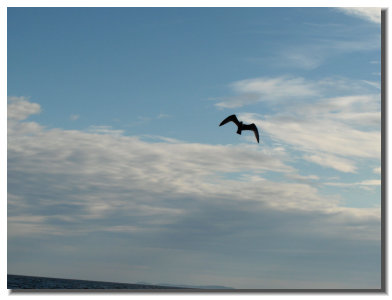 Photo taken on a return trip from St. Paul Island.